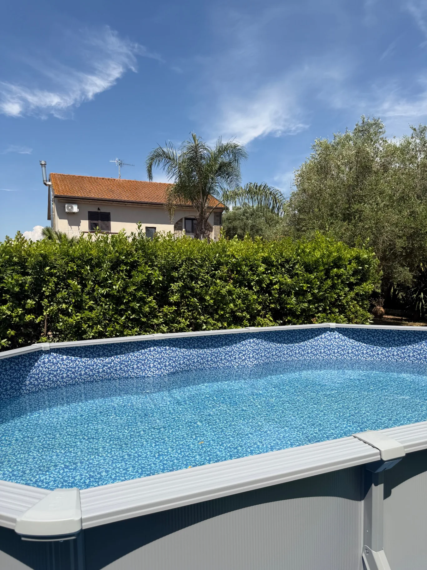 Ferienvilla mit privatem Pool in Casal Velino: Blick auf das Haus und den Pool im Garten