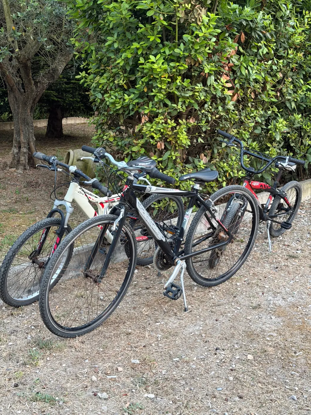 home.gallery.alts.biciclette